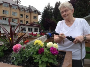 Using a senior-friendly watering wand, Dorothy Braun waters dahlias she planted in Tabor Village’s therapeutic garden. 